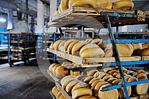 Fresh bread on a shelf in a bakery