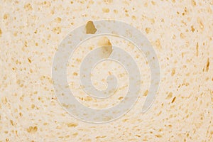 Fresh bread texture. Studio macro photography.