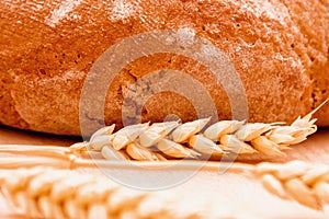 Fresh bread and wheat. Industrie, food, agriculture concept