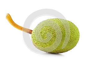 Fresh breadfruit isolated on a white background