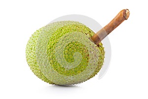 Fresh breadfruit isolated on a white background