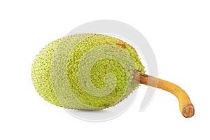 Fresh breadfruit isolated on a white background