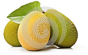 A Fresh Breadfruit Isolated on a White Background -Generative Ai