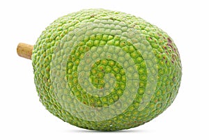 Fresh breadfruit isolated on white background