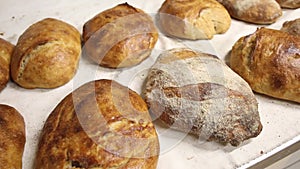 Fresh Breads Bakery