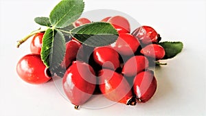 Fresh briar on white background