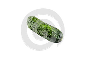 Fresh bright green cucumber on white background, close-up of isolate