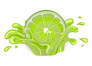 Fresh bright half cut lime juice splash burst isolated on white background. Summer fruit juice. Cartoon style. Vector illustration