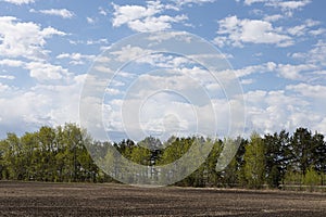 Fresh bright spring landscape in outdoors with fluffy clouds in blue heaven with sunlight above black field of arable land.