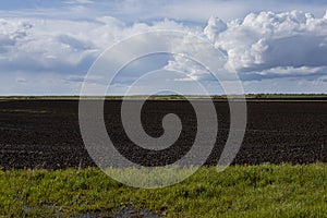 Fresh bright spring landscape in outdoors with fluffy clouds in blue heaven with sunlight above black field of arable land.