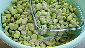 fresh broad bean, broad bean seeds, table-edible fresh broad bean