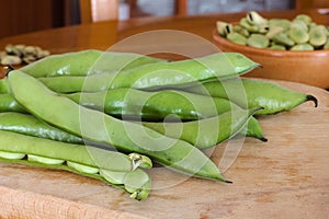 Fresh broad beans fava on wood table