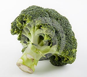 Fresh broccoli