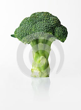 Fresh broccoli