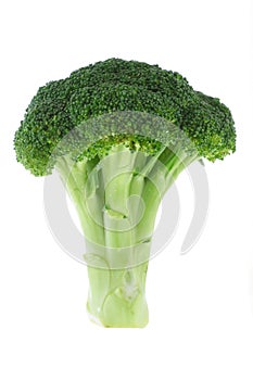 Čerstvý brokolica 