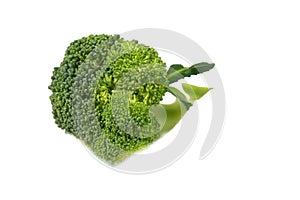 Fresh Broccoli cut on the white