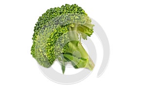 Fresh Broccoli cut on the white