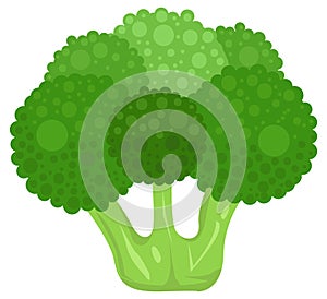 Fresh Broccoli Flat Illustration. Fresh Broccoli Illustration. Icon Of A Fresh Broccoli