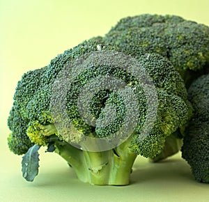 Fresh broccoli on a green background, macro. The concept of healthy food and vegetarian. Low calorie green vegetables.