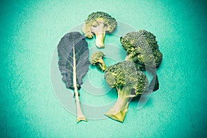 Fresh Broccoli on green background , nature green food concept