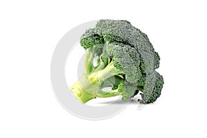 Fresh Broccoli Isolated On White