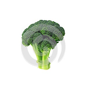 Fresh broccoli isolated on white