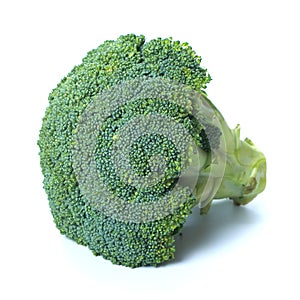 Fresh Broccoli