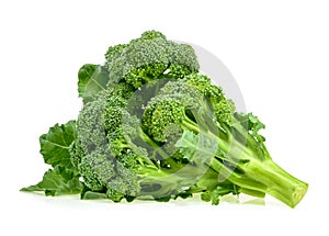 Fresh broccoli isolated on white background