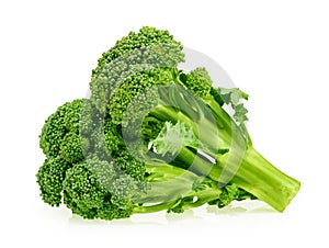 Fresh broccoli isolated on white background