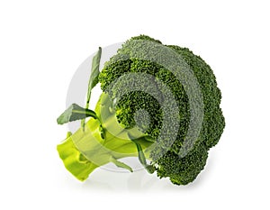 Fresh broccoli isolated on white with clipping path