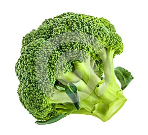 Fresh broccoli isolated on white without shadow