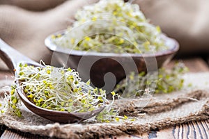 Fresh Broccoli Sprouts