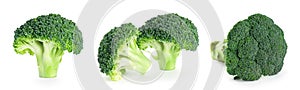 Fresh broccoli on white