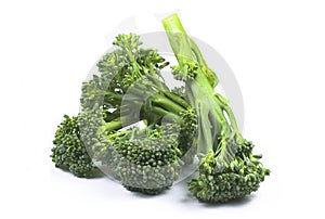 Fresh broccolini photo
