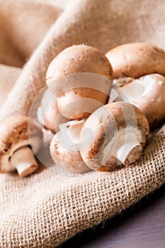 Fresh brown Agaricus mushrooms