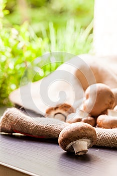 Fresh brown Agaricus mushrooms