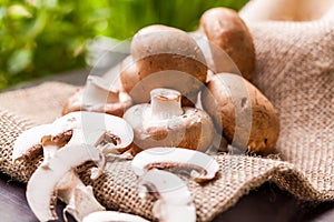 Fresh brown Agaricus mushrooms