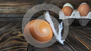 Fresh brown chicken egg with feather on wooden table with copy space. In the background a box with eggs.