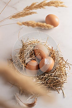 Fresh brown chicken eggs in hay nest. Healthy egg concepts