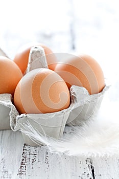 Fresh brown eggs