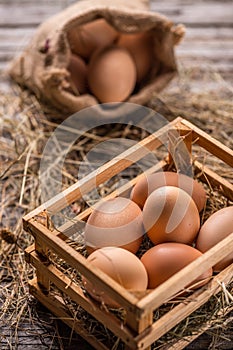 Fresh brown eggs