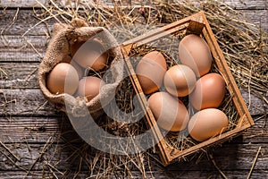 Fresh brown eggs