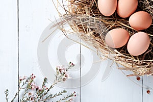 Fresh brown eggs in basket and branch of flowers on pastel blue wooden background. Easter food concept