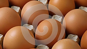 Fresh brown eggs in a cardboard tray full frame close up