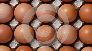 Fresh brown eggs in a cardboard tray full frame close up