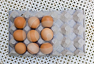 Fresh brown eggs in carton