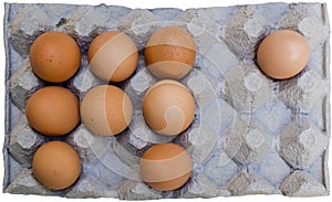 Fresh brown eggs in carton