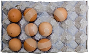 Fresh brown eggs in carton