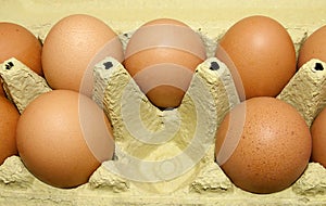 Fresh brown eggs in carton box