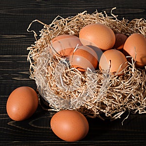 Fresh brown eggs on dark background in the nest